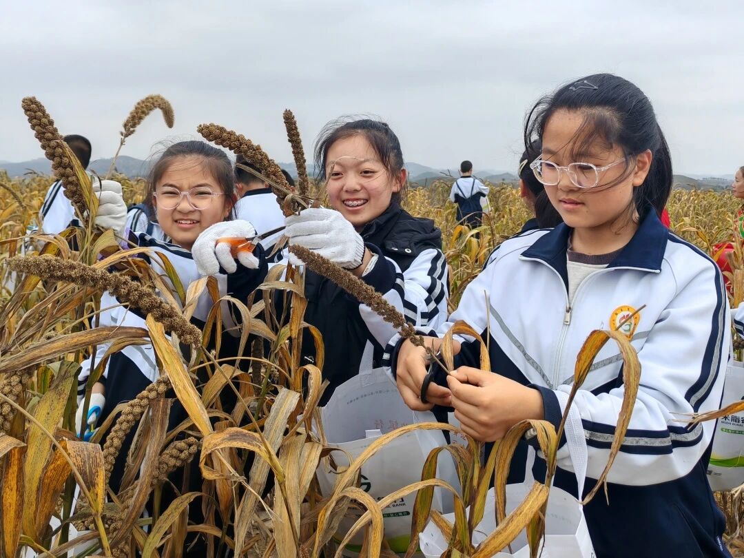 微信图片_2025-10-23_125927_693.jpg