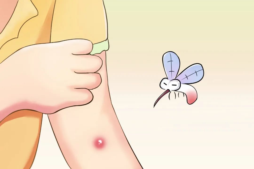 ͼƬ